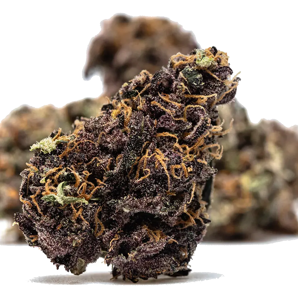 Orange Fritter, photo 4