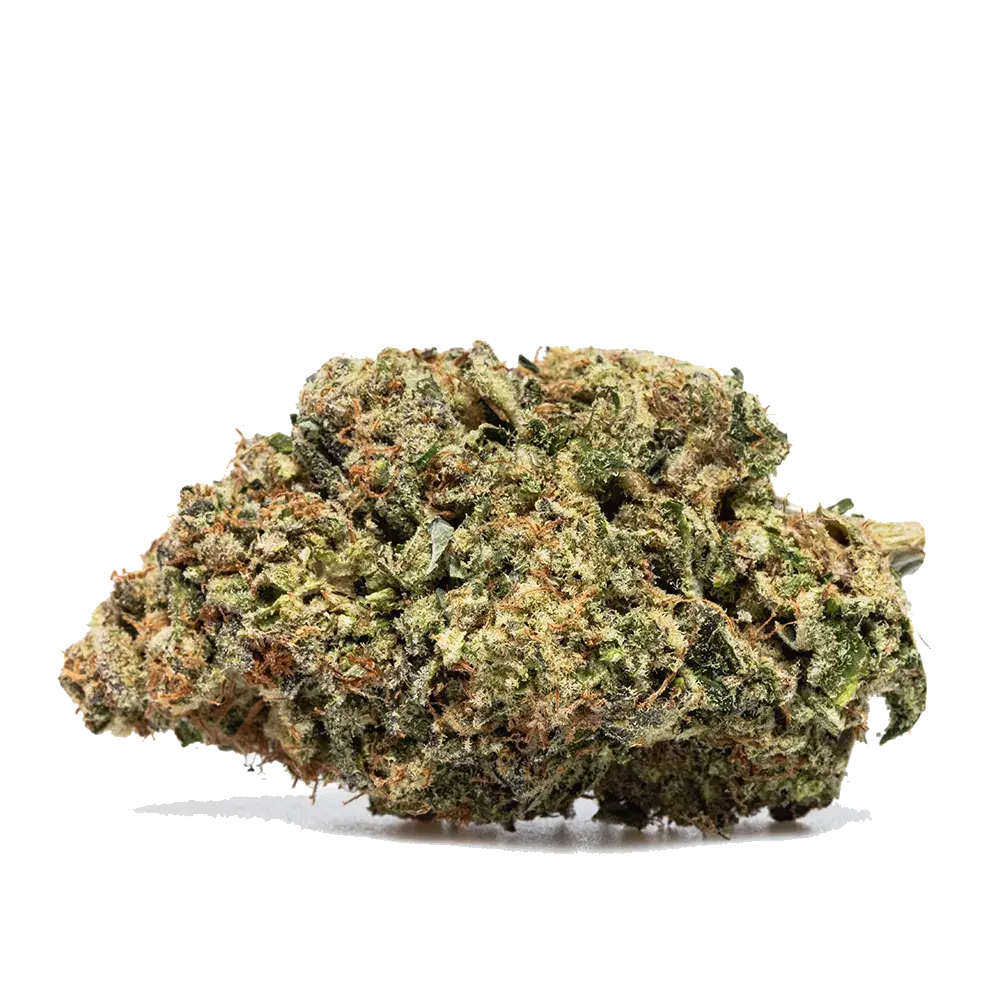 Payton's Lemon S1, photo 2