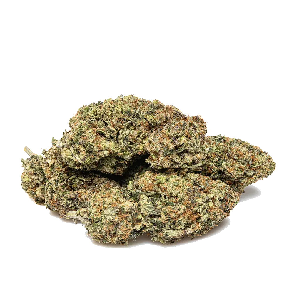 Payton's Lemon S1, photo 3