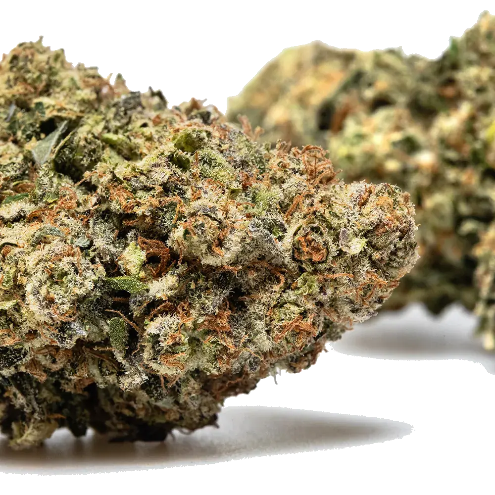 Payton's Lemon S1, photo 4