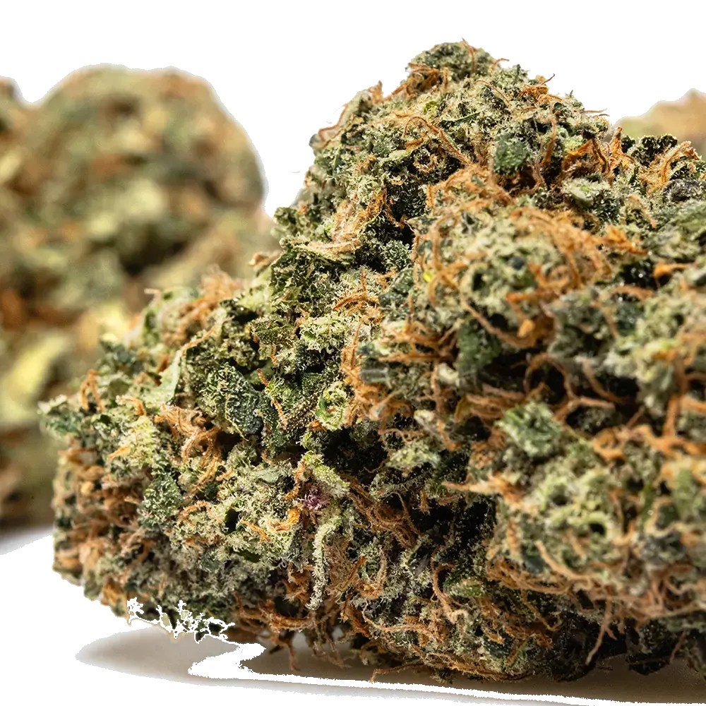 Strawberry Lemon Kush, photo 4