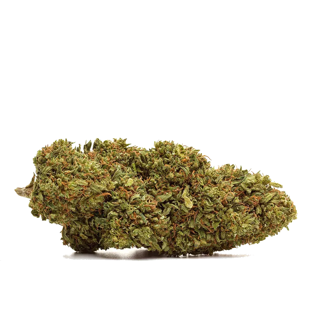 Strawnana, fleur