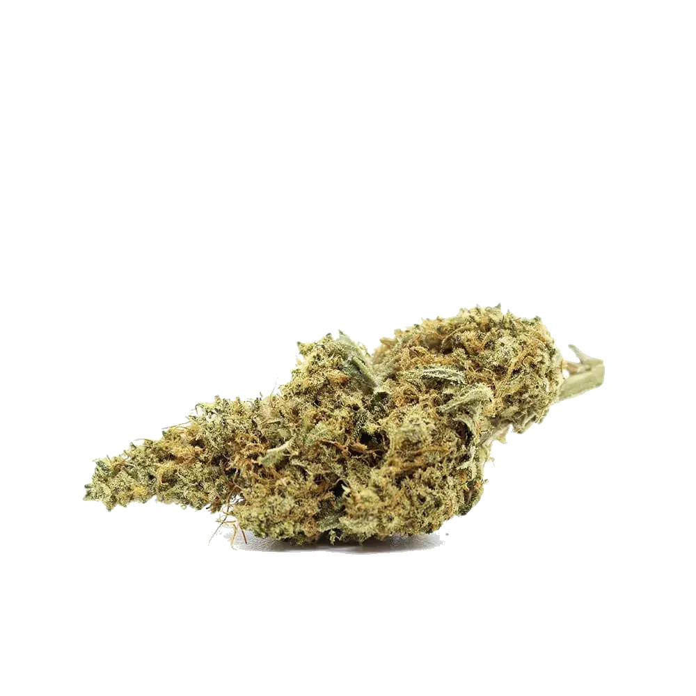 Sour Diesel, photo 2
