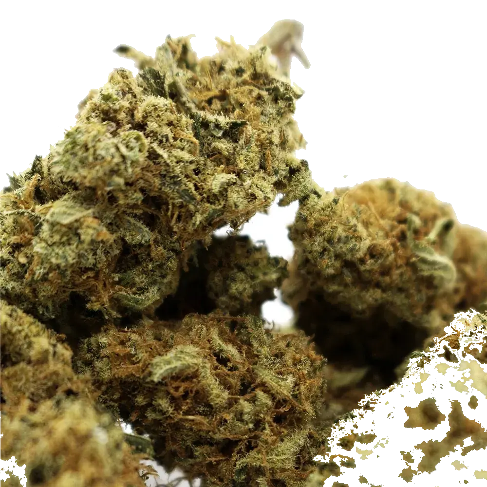 Sour Diesel, photo 3