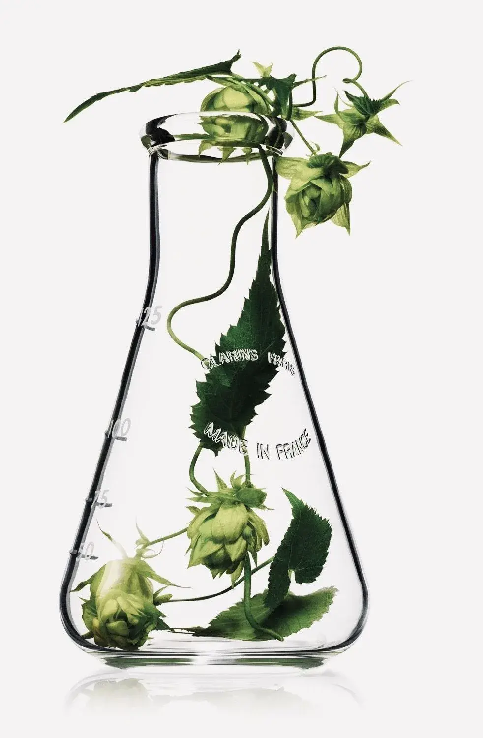 Détail de glassware, bécher et spatule sur fond de laboratoire