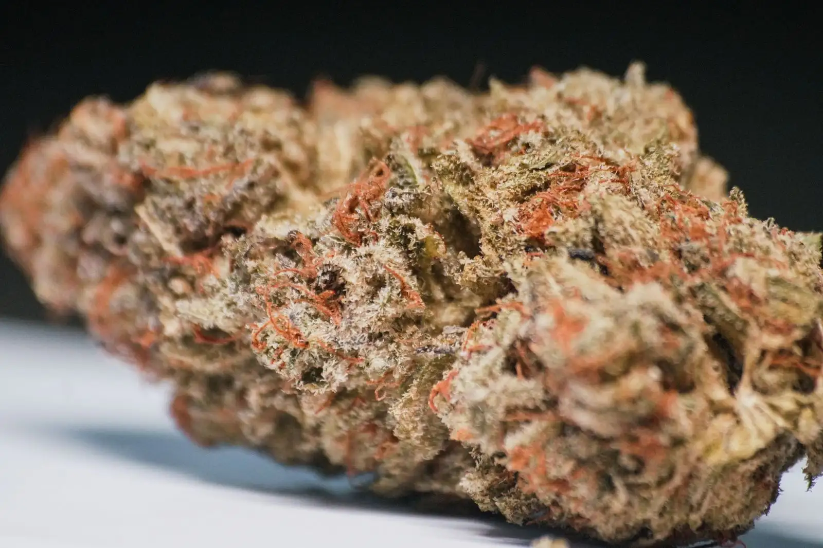 Banana Kush CBD : d'où vient son odeur de banane ?