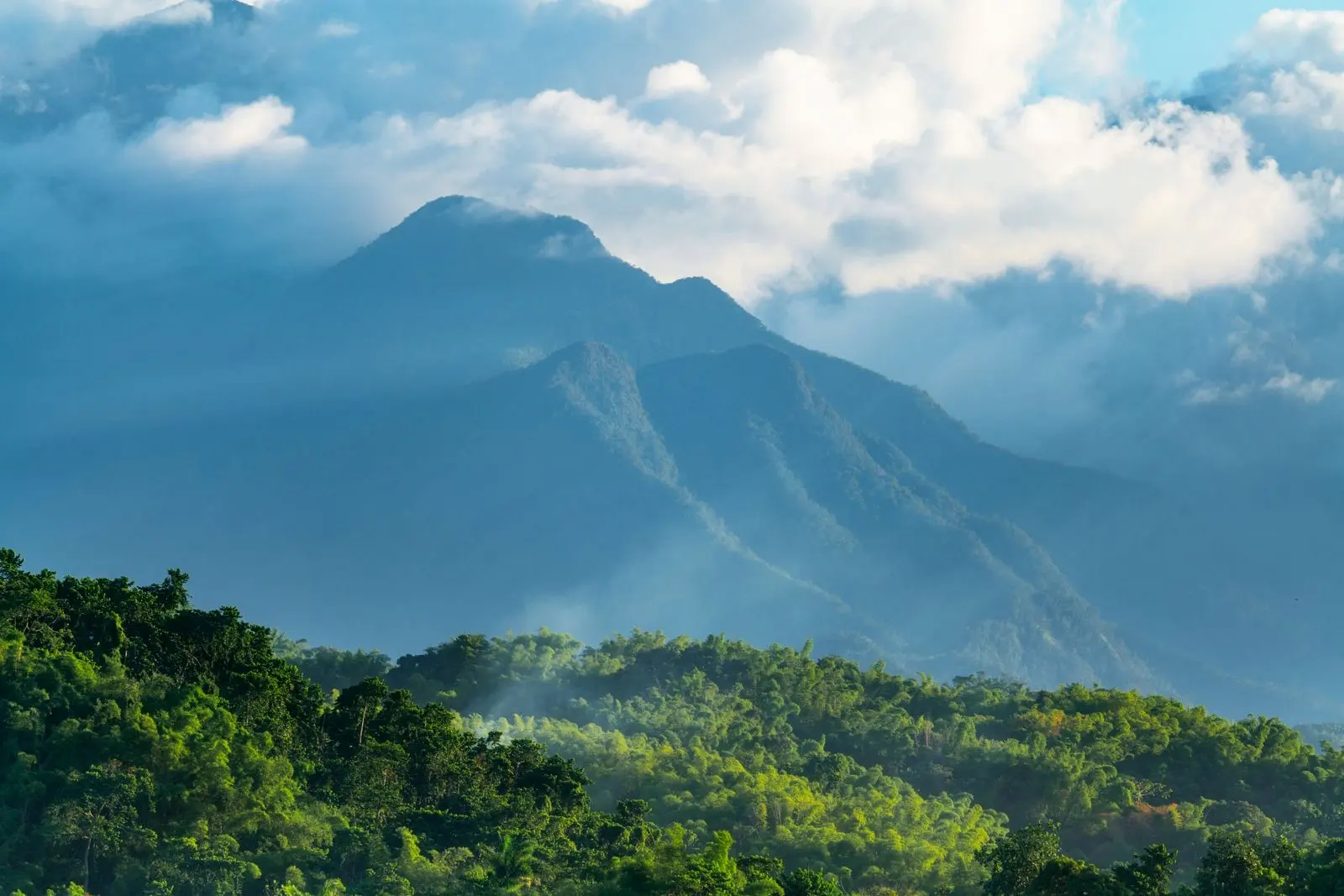 Les Blue Mountains de Jamaïque dans les nuages, au-dessus de collines couvertes de forêt tropicale