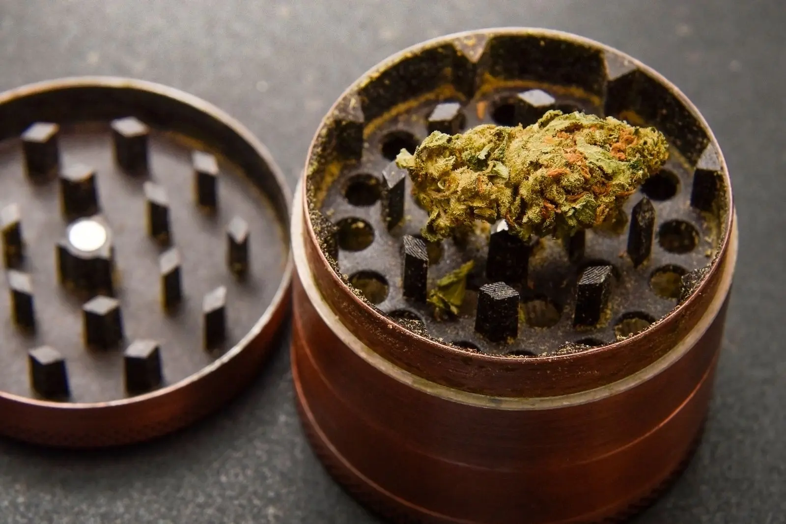 Grinder métallique ouvert, dents visibles, avec une tête de chanvre séchée posée dans la chambre de broyage