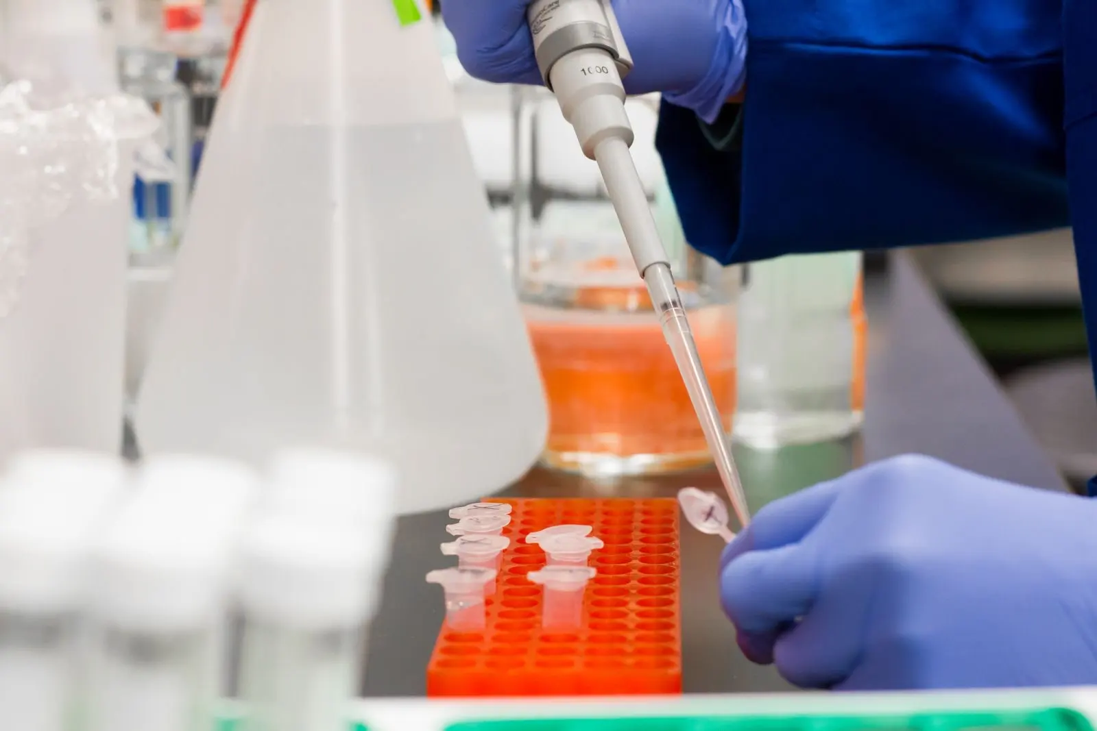 Pipette de laboratoire déposant un échantillon dans des microtubes posés sur un portoir orange
