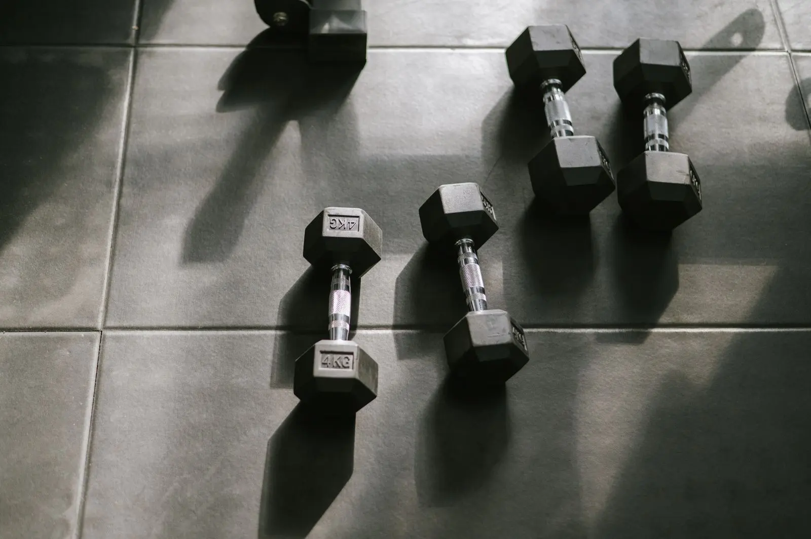 Haltères hexagonaux de 4 kg posés sur le sol d'une salle de musculation, dans une lumière rasante