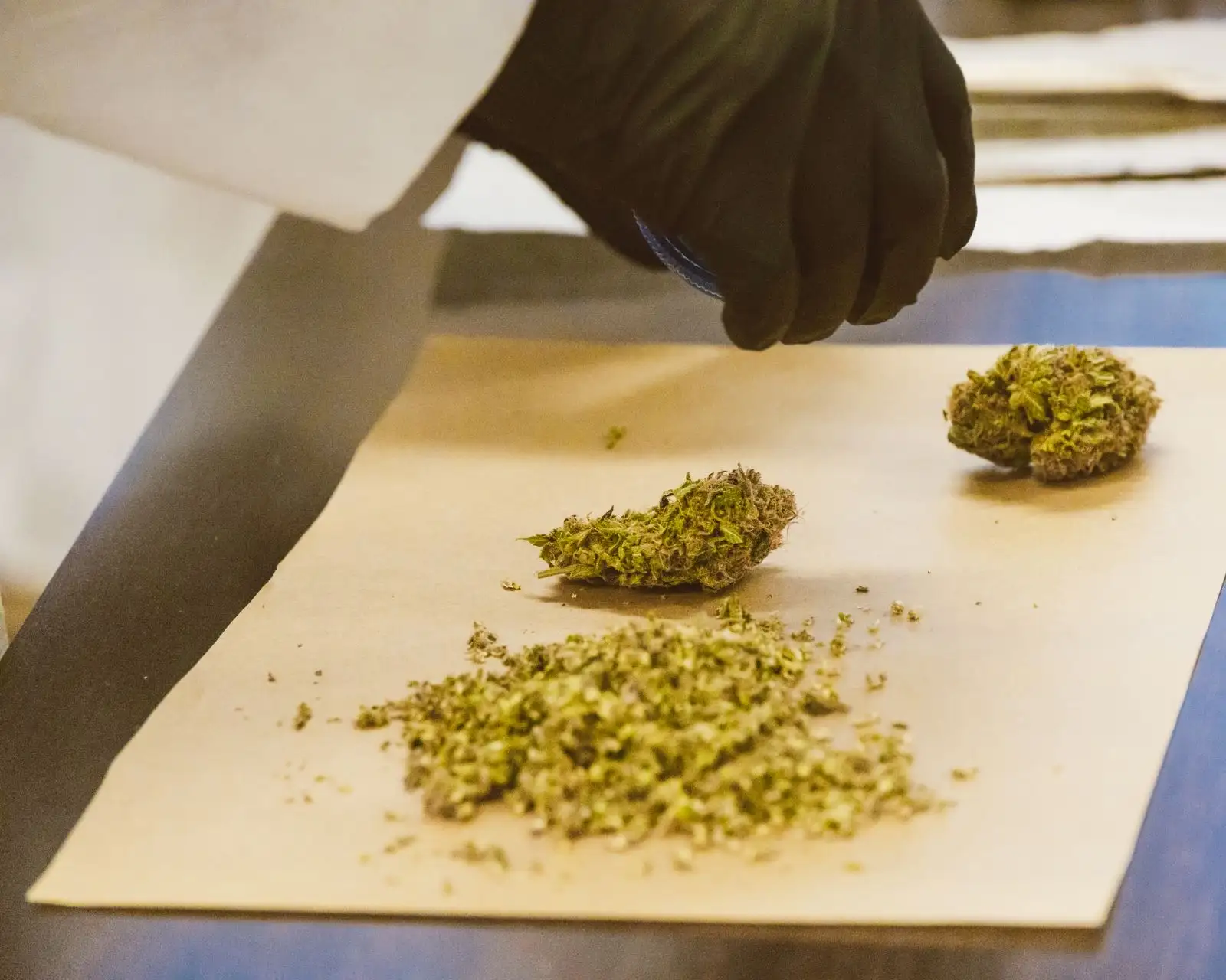 Hash CBD légal en France : 0,30 % de THC et trois pièges