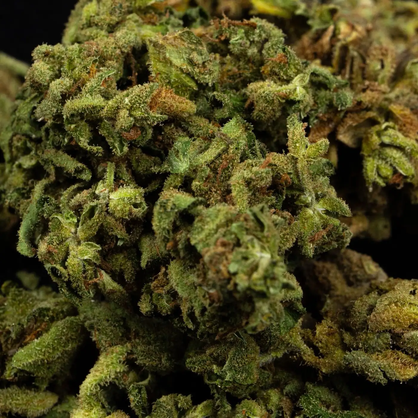 Hash CBD trop dur ou trop mou : le ramollir sans l'abîmer