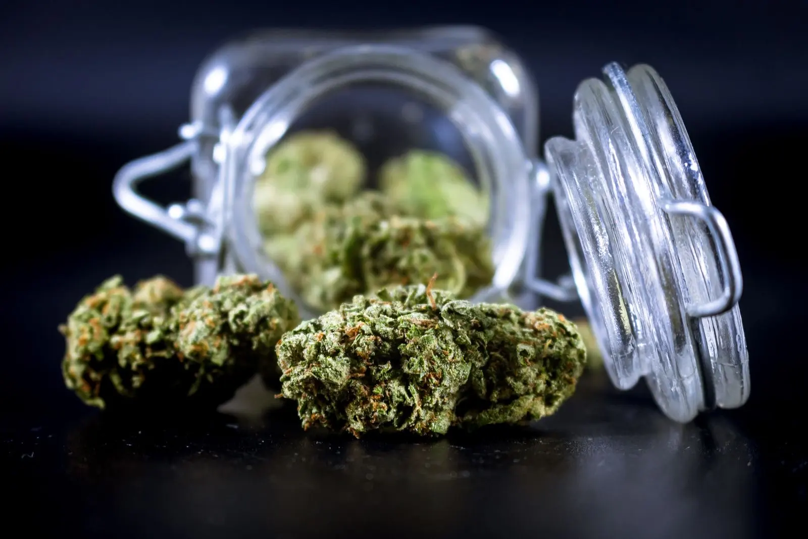 Têtes de chanvre séchées, compactes et couvertes de trichomes, devant un bocal en verre ouvert
