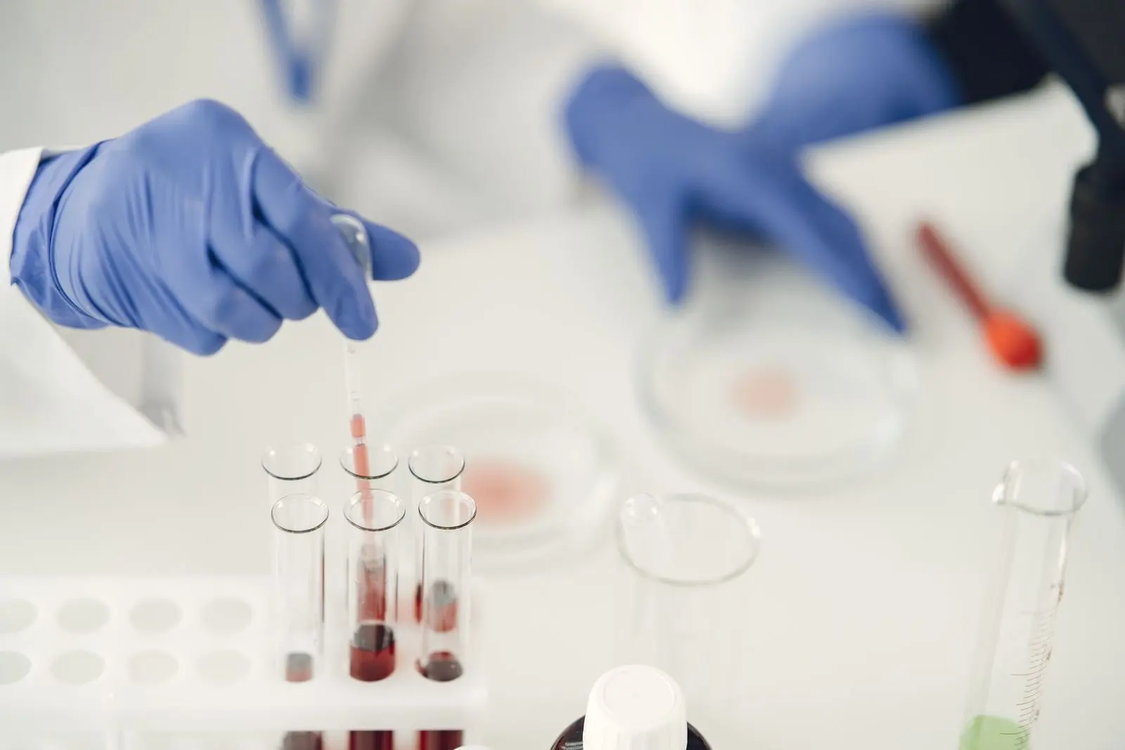 Mains gantées prélevant un échantillon à la pipette au-dessus de tubes à essai dans un laboratoire