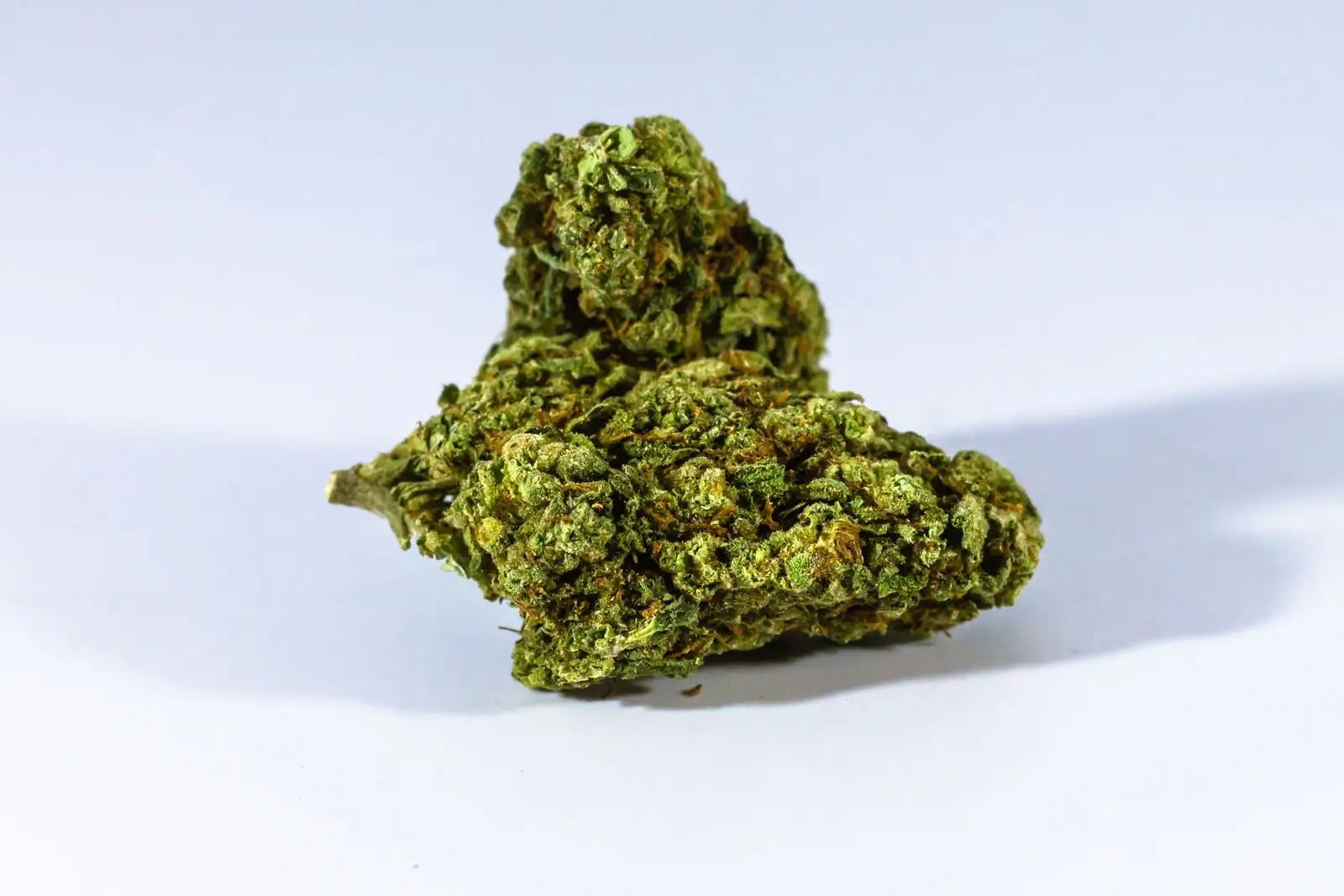 Taux de CBD des fleurs : 72 fiches, de 6,7 à 14,4 %