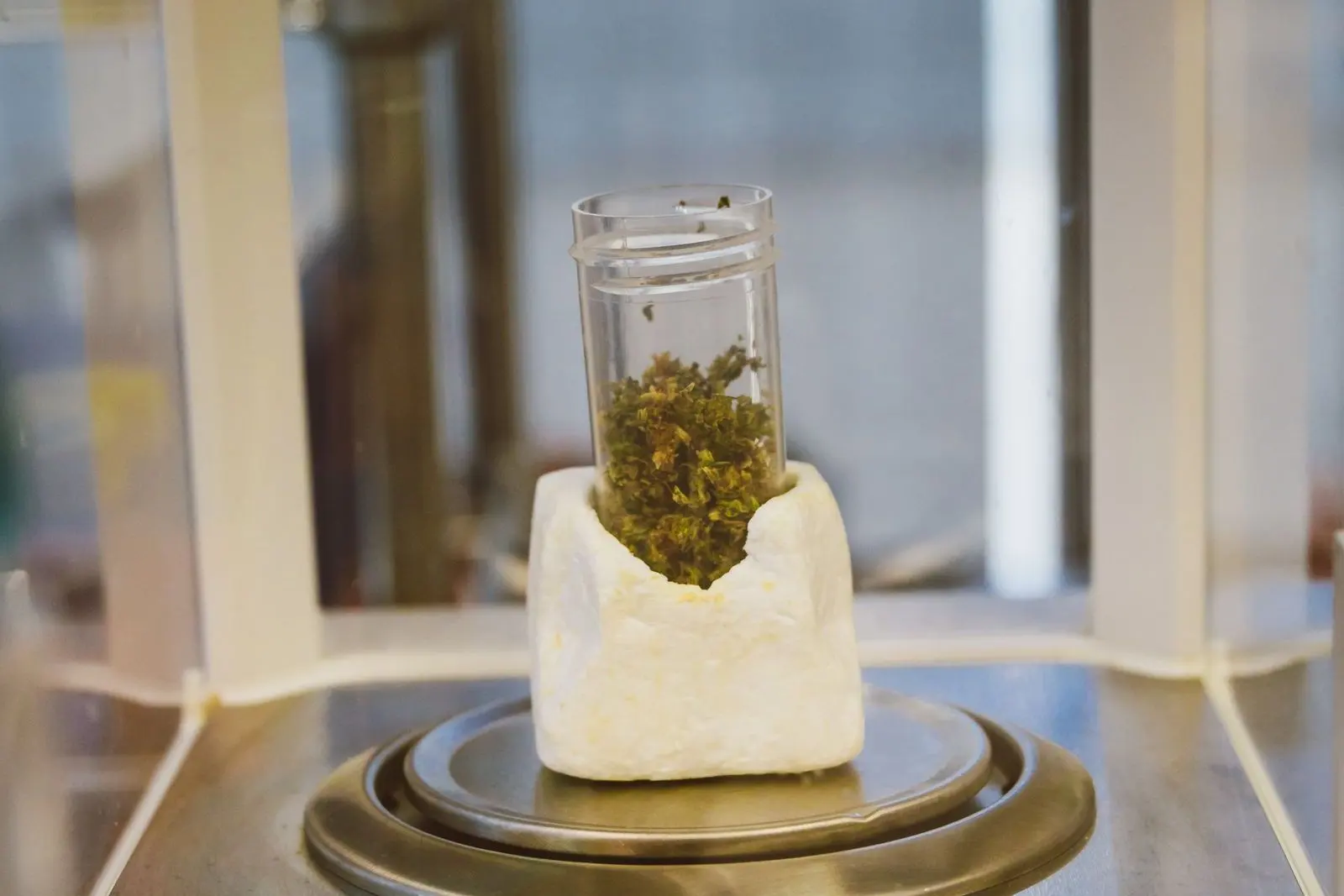 Échantillon de fleur de chanvre dans un tube posé sur une balance de précision de laboratoire, avant analyse