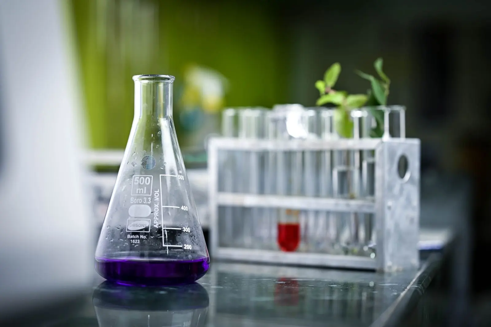 Erlenmeyer contenant un liquide violet devant un portoir de tubes à essai, dans un laboratoire