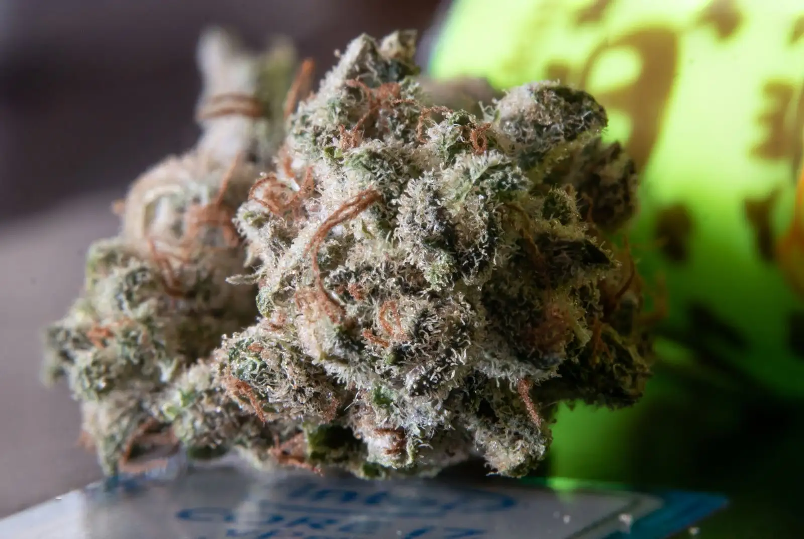 Lemon Haze CBD : une origine floue, un arôme à vérifier