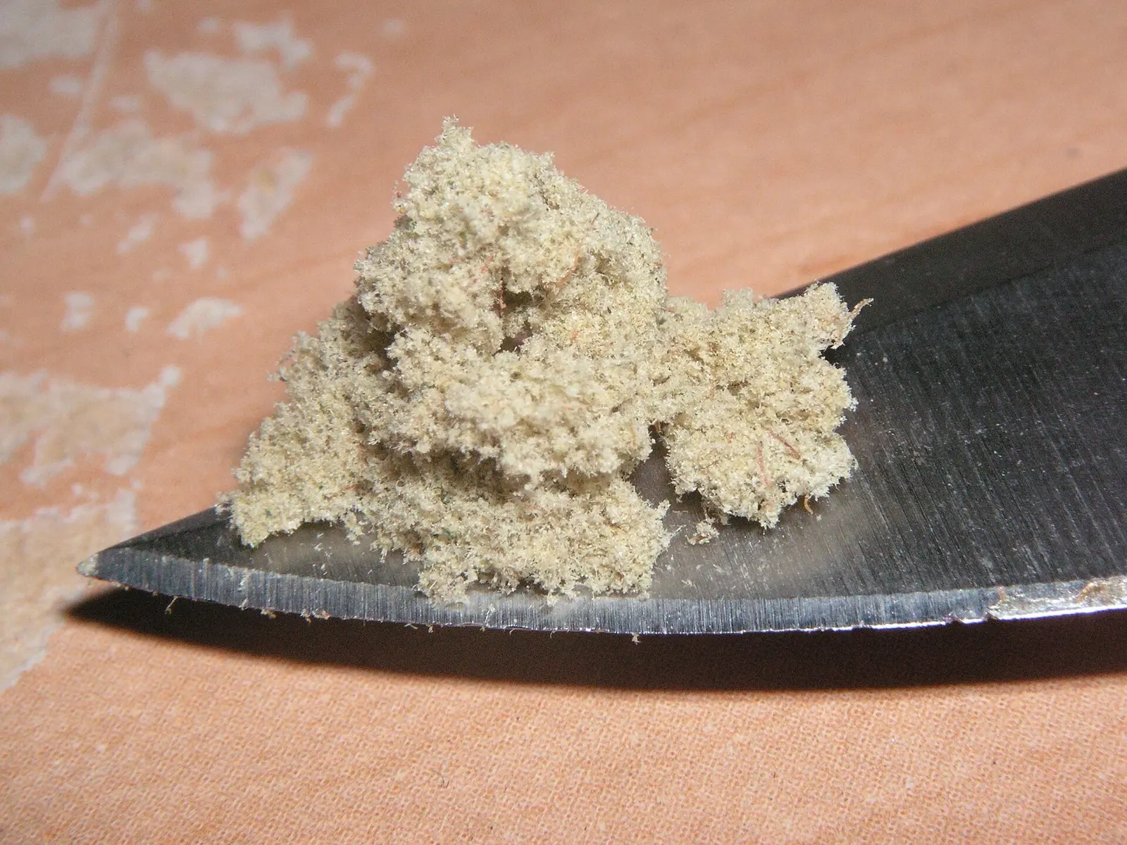 Petit tas de poudre de trichomes beige posé sur la pointe d'une lame de couteau, où l'on distingue quelques filaments végétaux orangés