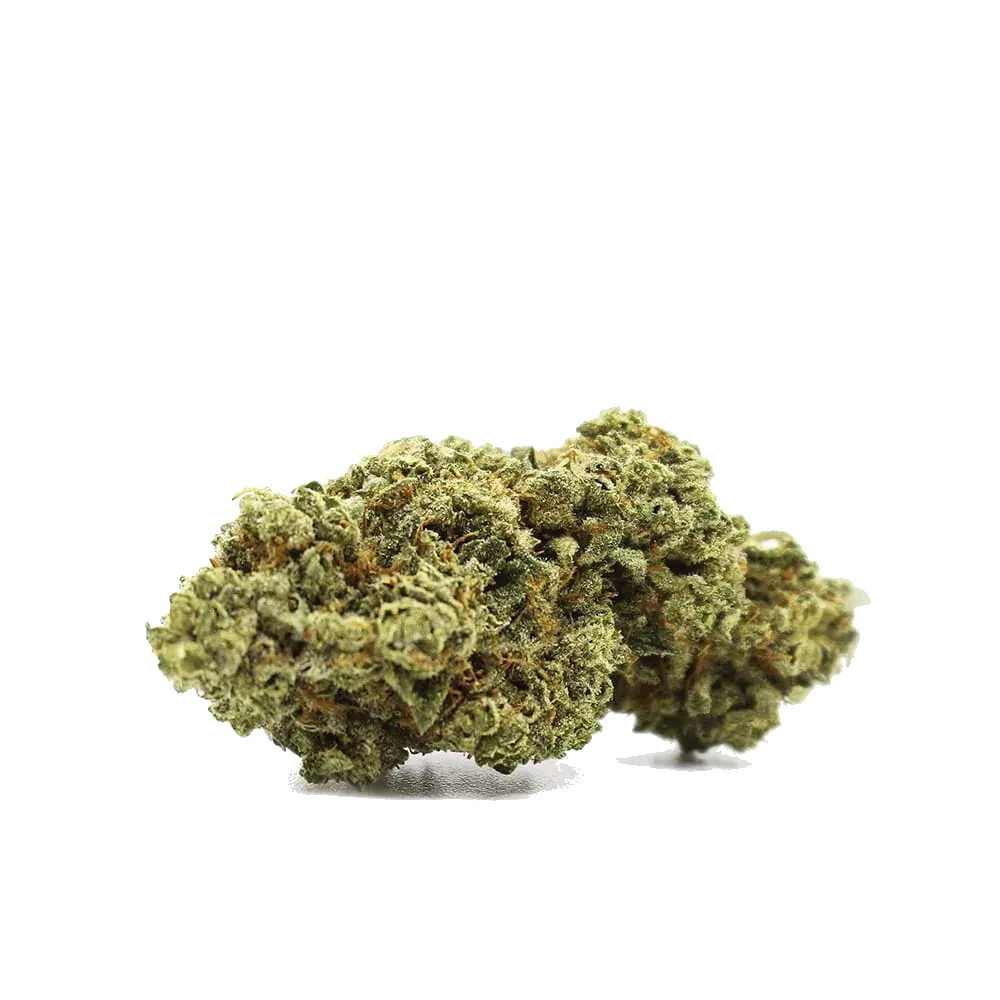 Têtes de fleur de CBD Green Crack, vertes et compactes, sur fond clair.