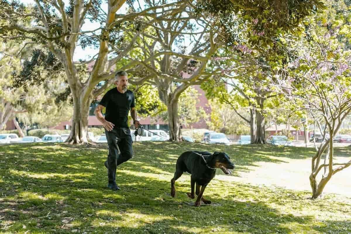 Vivre avec un animal de compagnie : 5 effets documentés sur la santé