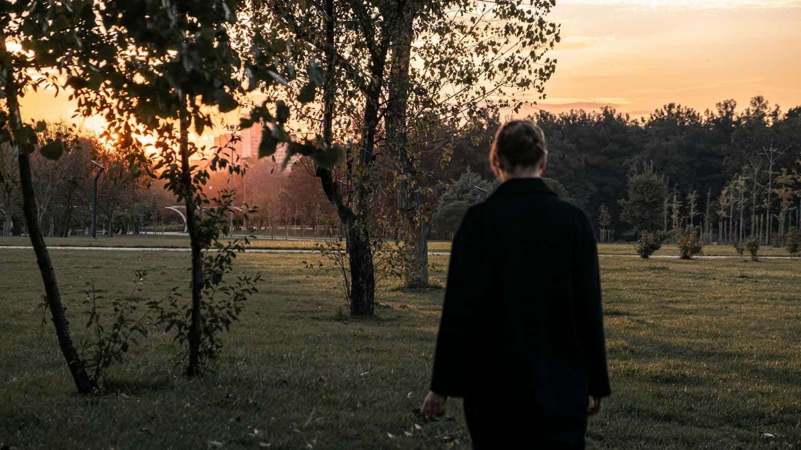 CBD et stress occasionnel : ce que dit le cadre français