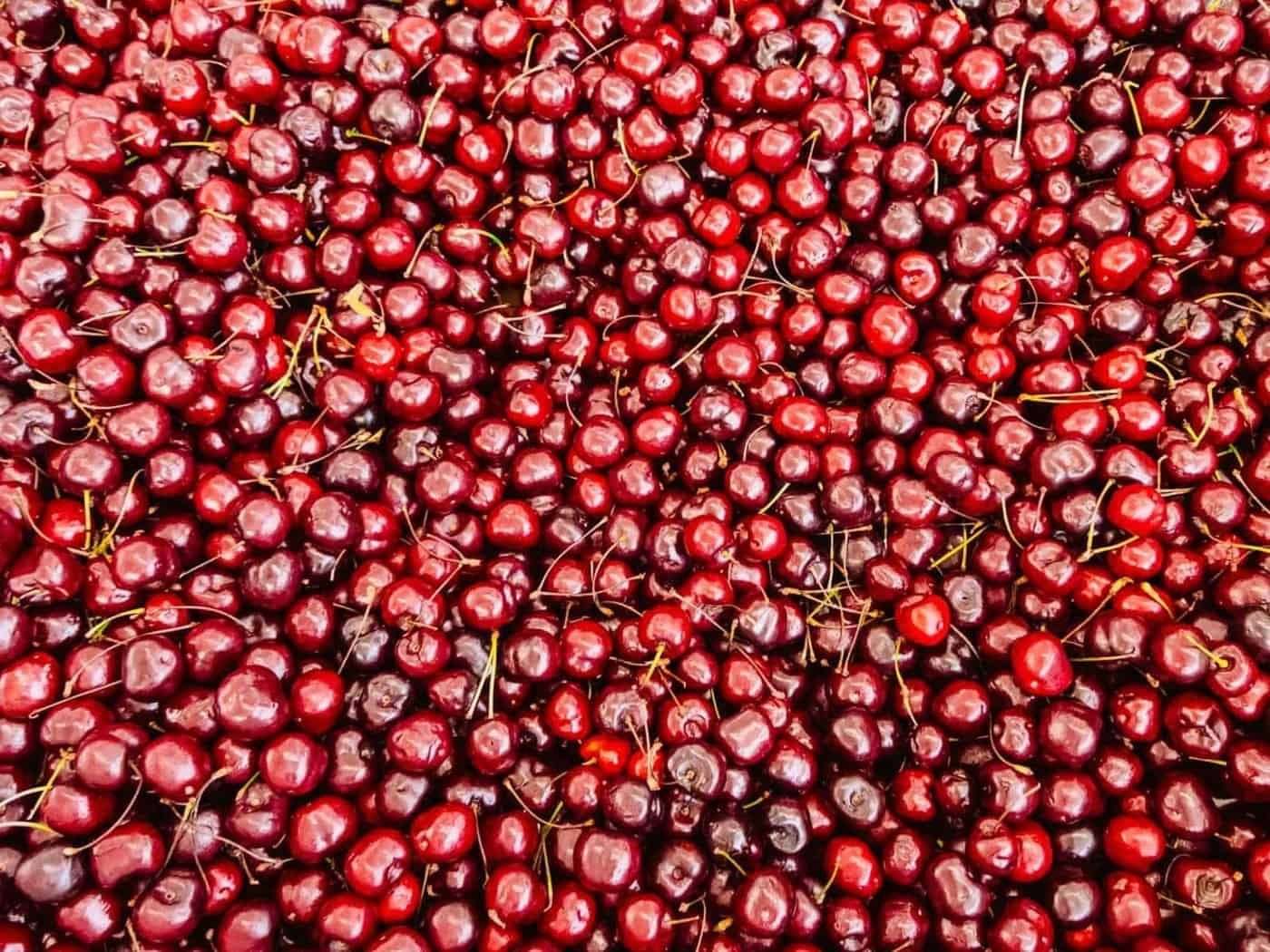 Cerise acidulée et CBD pour la récupération sportive