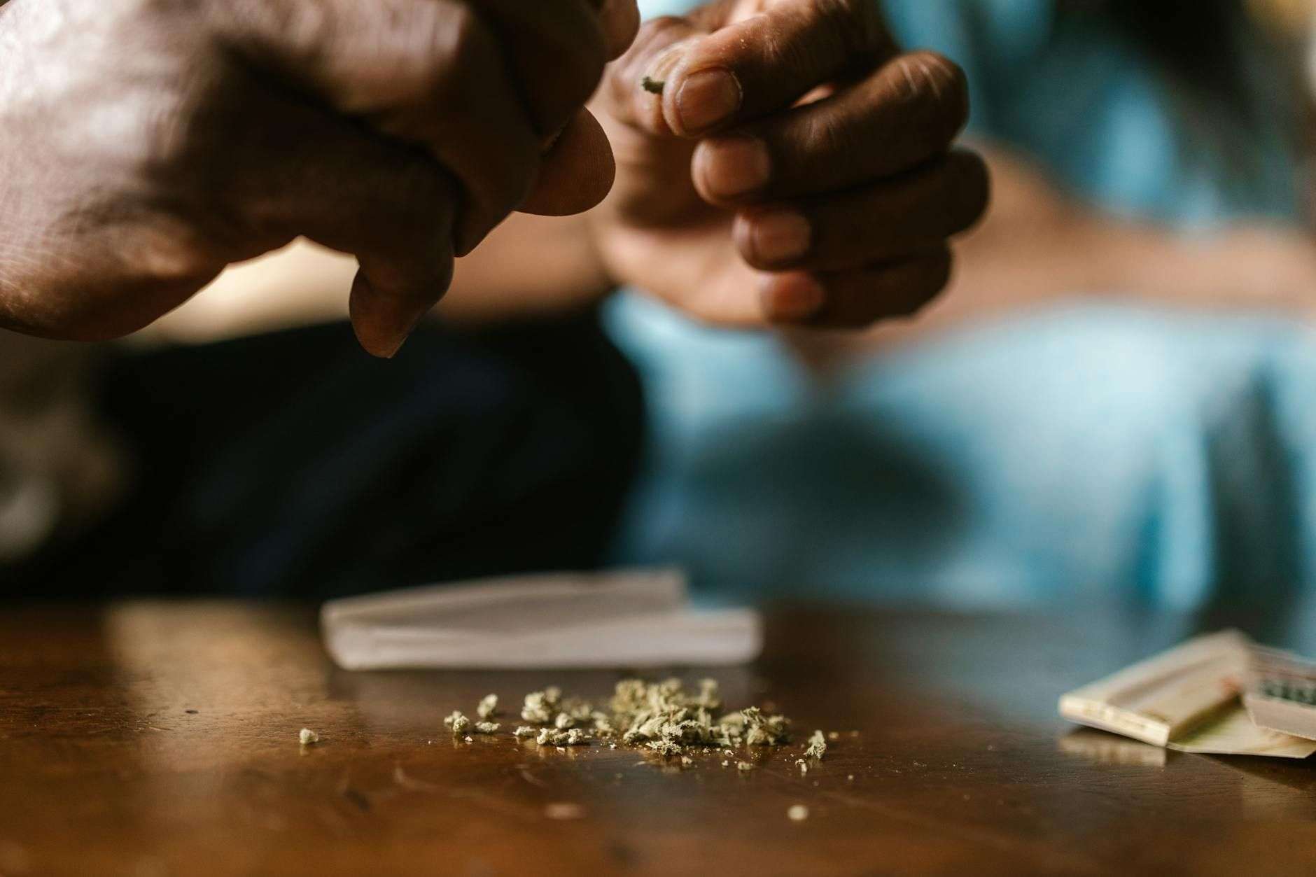 Comment préparer la tisane de chanvre CBD idéale