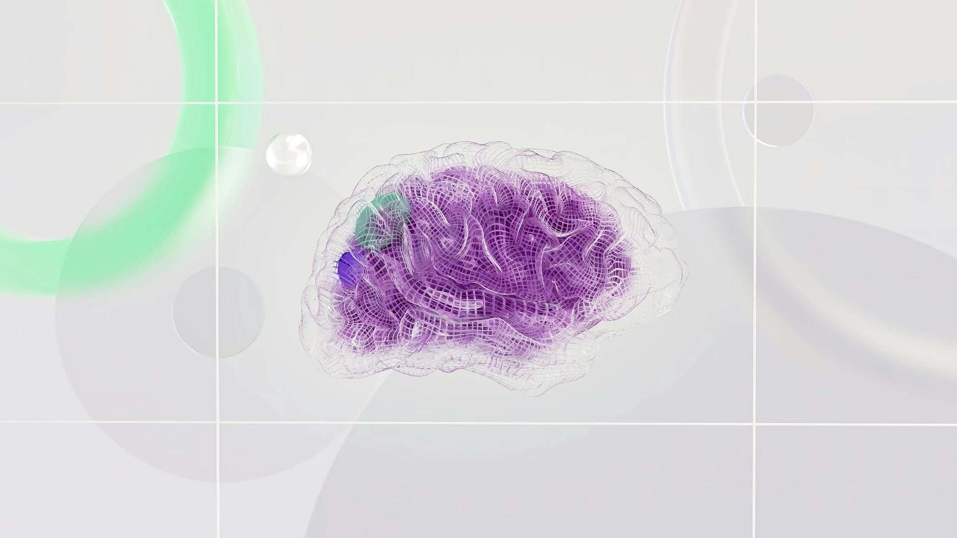 Crinière de lion, « brain support » et CBD : ce qui se dit en France