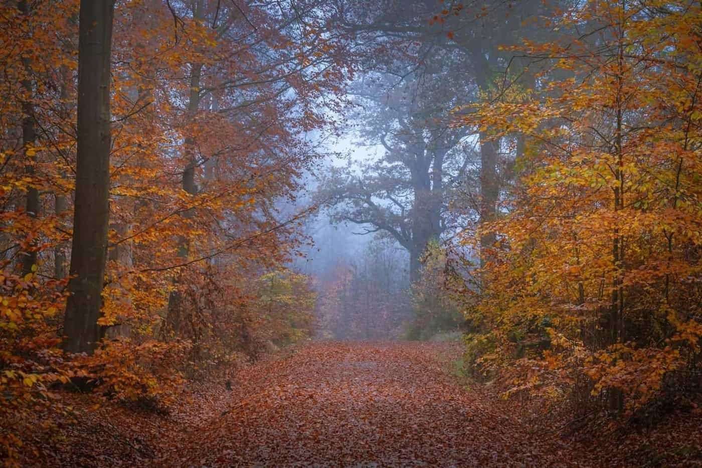 Équinoxe d'automne : retrouver une routine d'équilibre