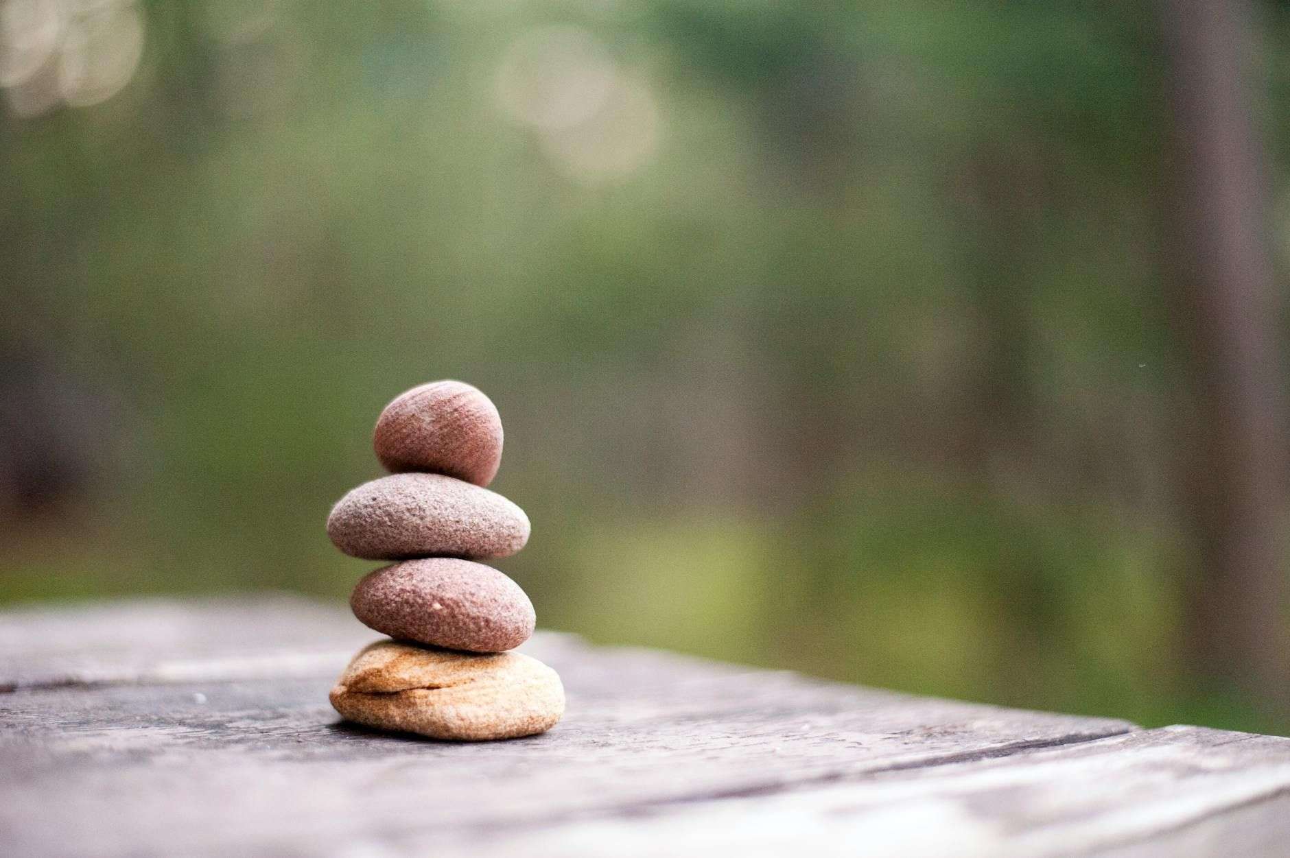 L'homéostasie : définition et lien avec le système endocannabinoïde