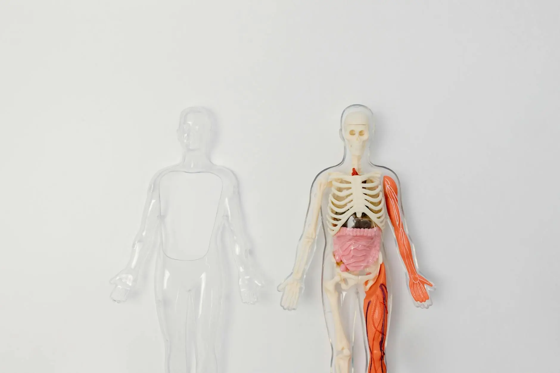 Qu'est-ce que le système endocannabinoïde ?
