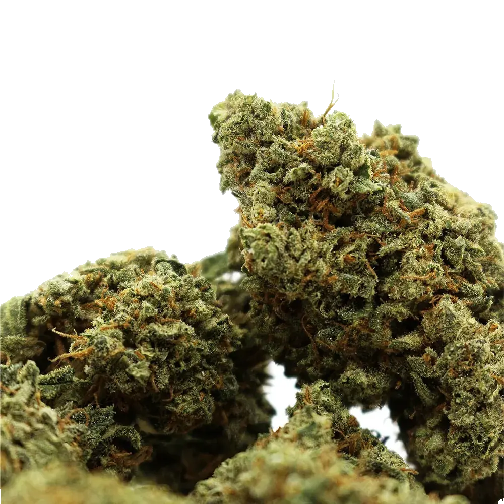 Green Crack, photo 4