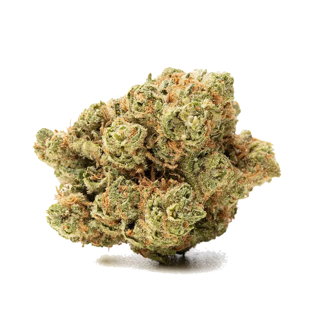 Amnesia Haze, photo 4