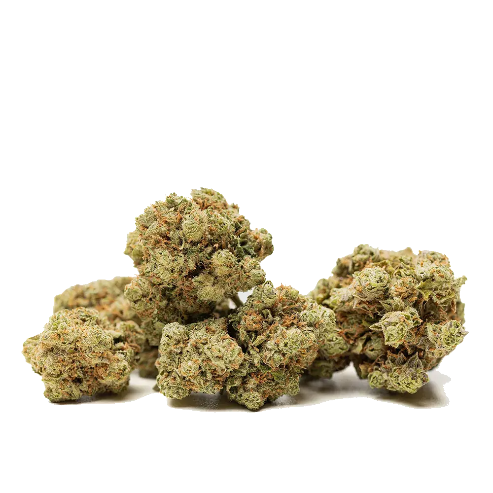 Amnesia Haze, photo 3
