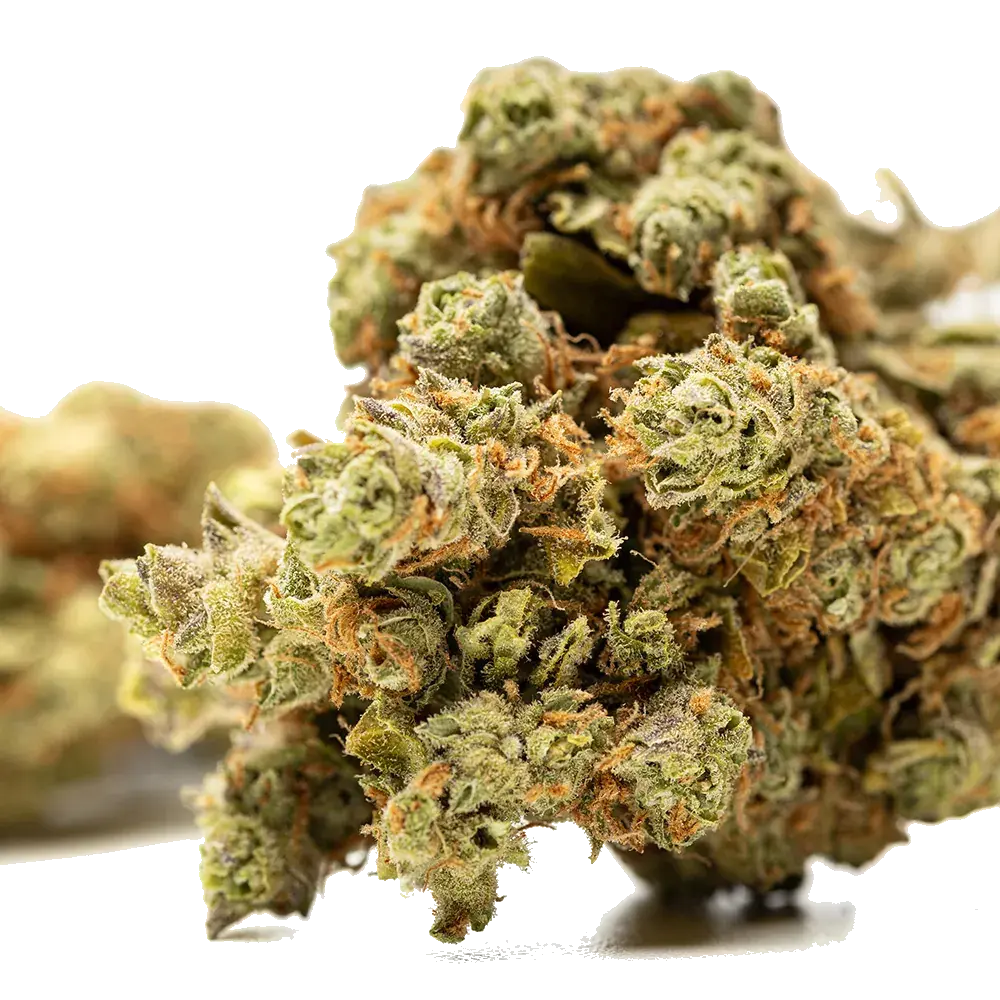 Amnesia Haze, photo 2