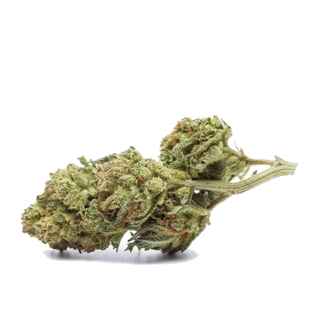 Durban Poison, photo 2