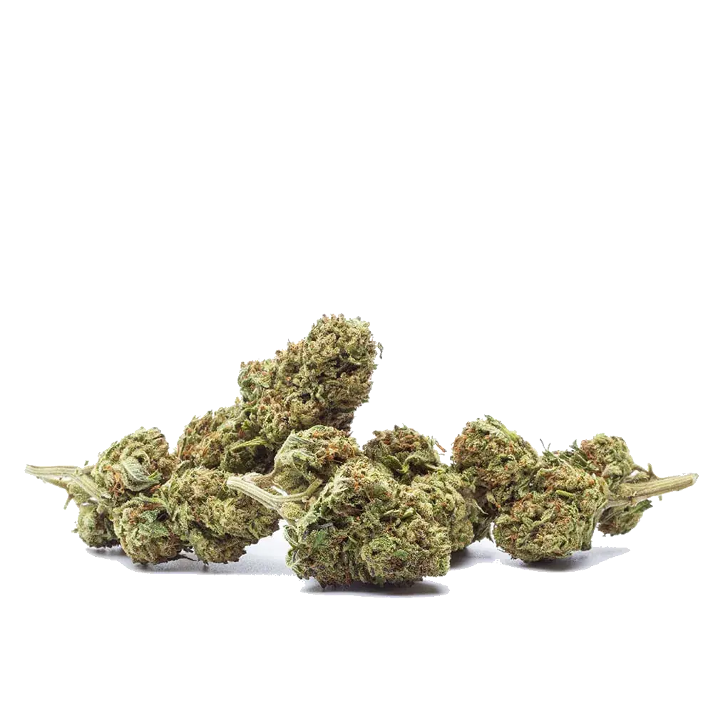 Durban Poison, photo 3