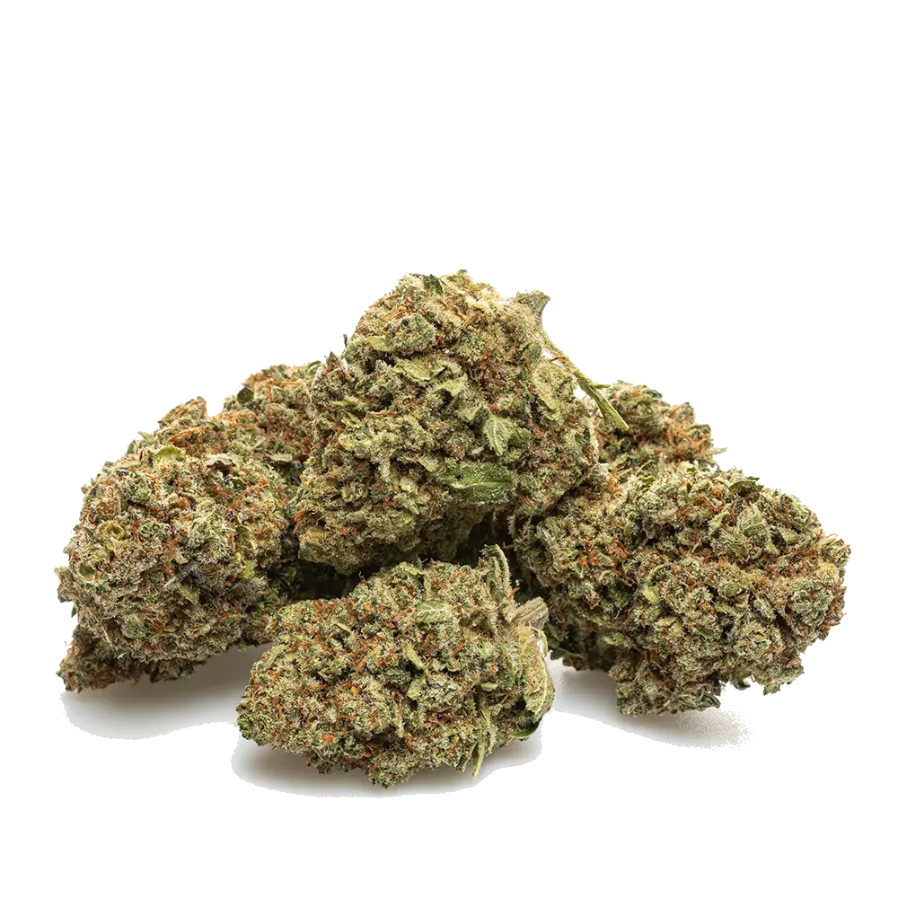Forbidden Fruit, photo 4
