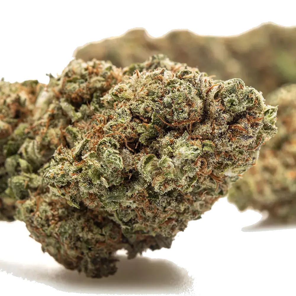 Forbidden Fruit, photo 3