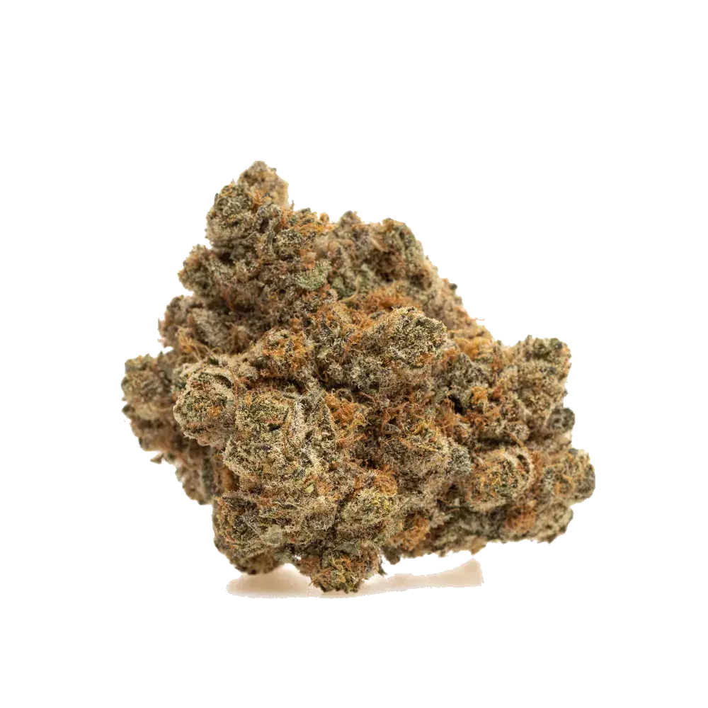 Galactic Gas, photo 3