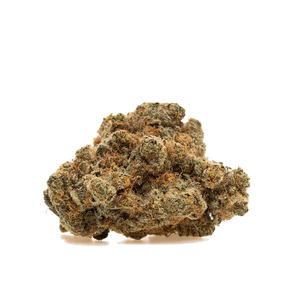 Galactic Gas, photo 4