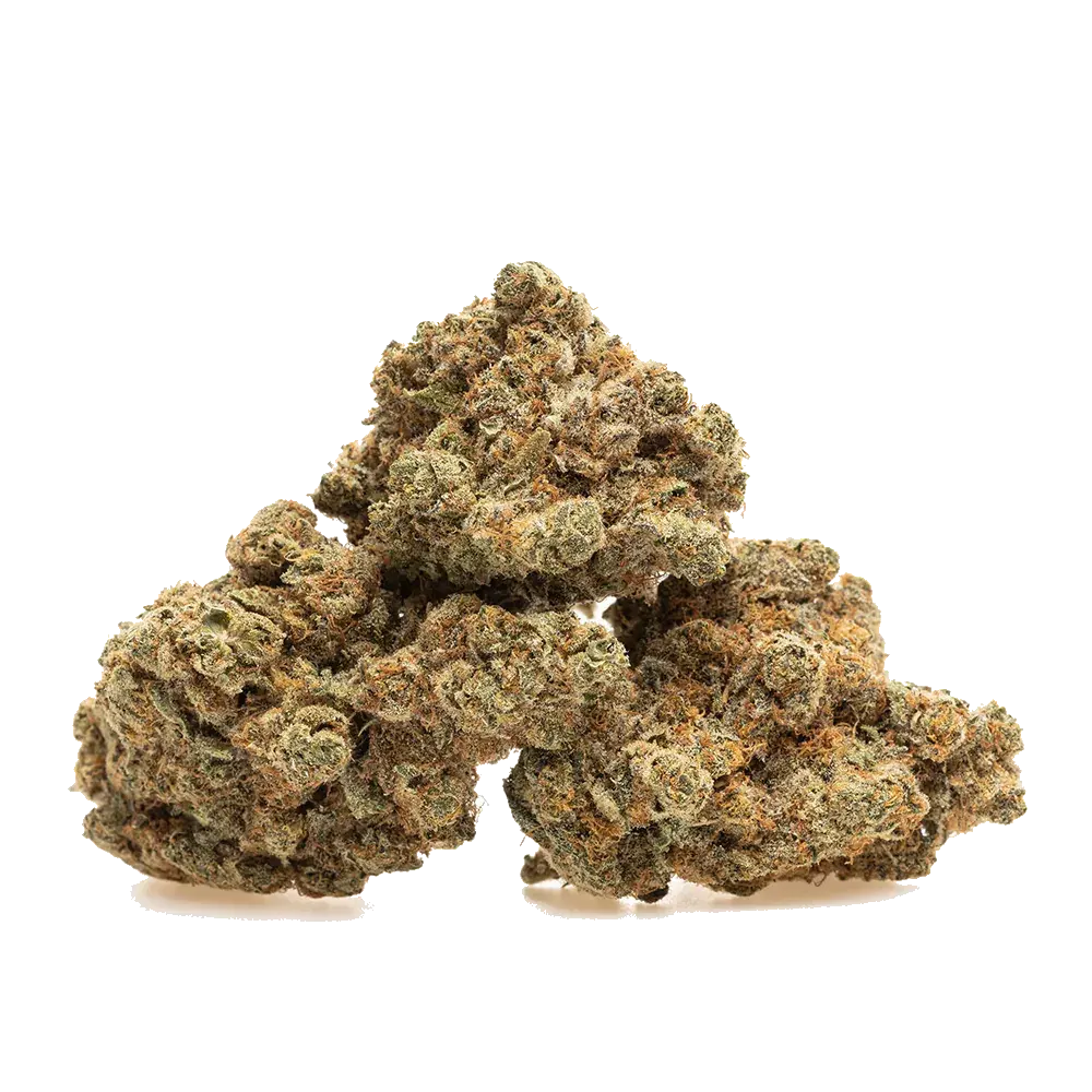 Galactic Gas, photo 5