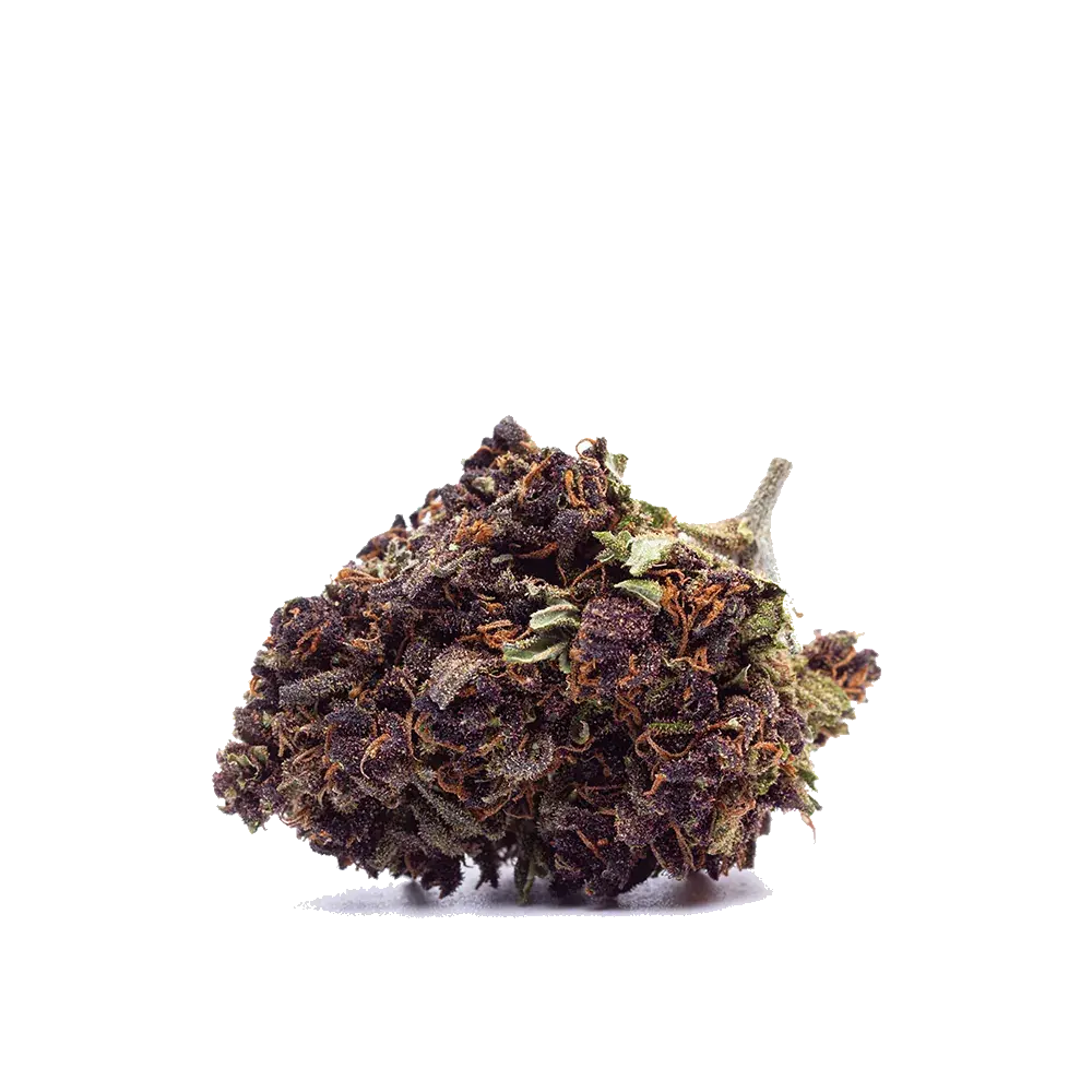 Purple Haze, photo 4