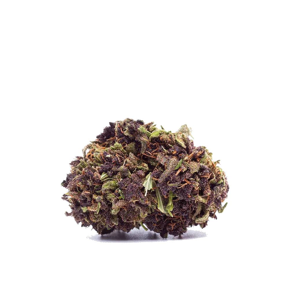 Purple Haze, photo 3