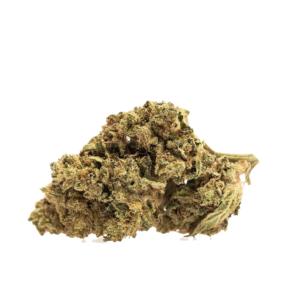 Skunk