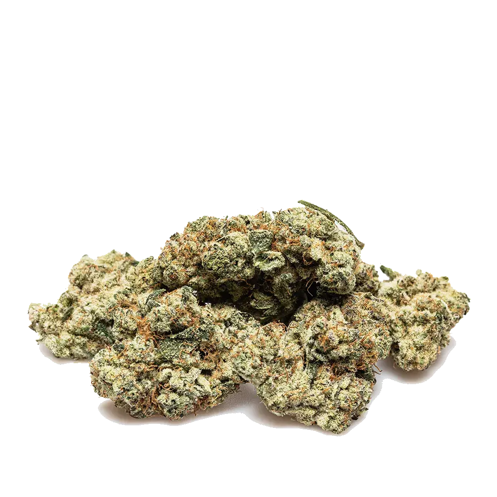 Strawberry Payton's Usa, photo 3