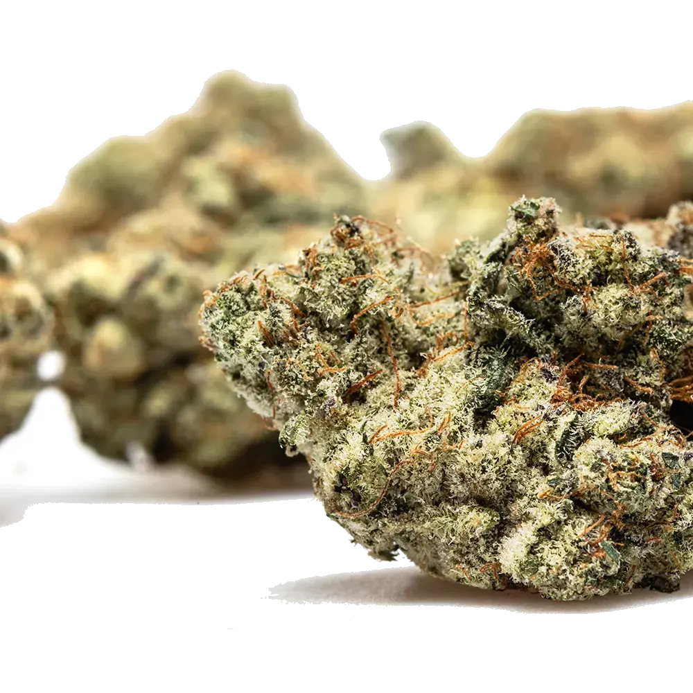 Strawberry Payton's Usa, photo 4