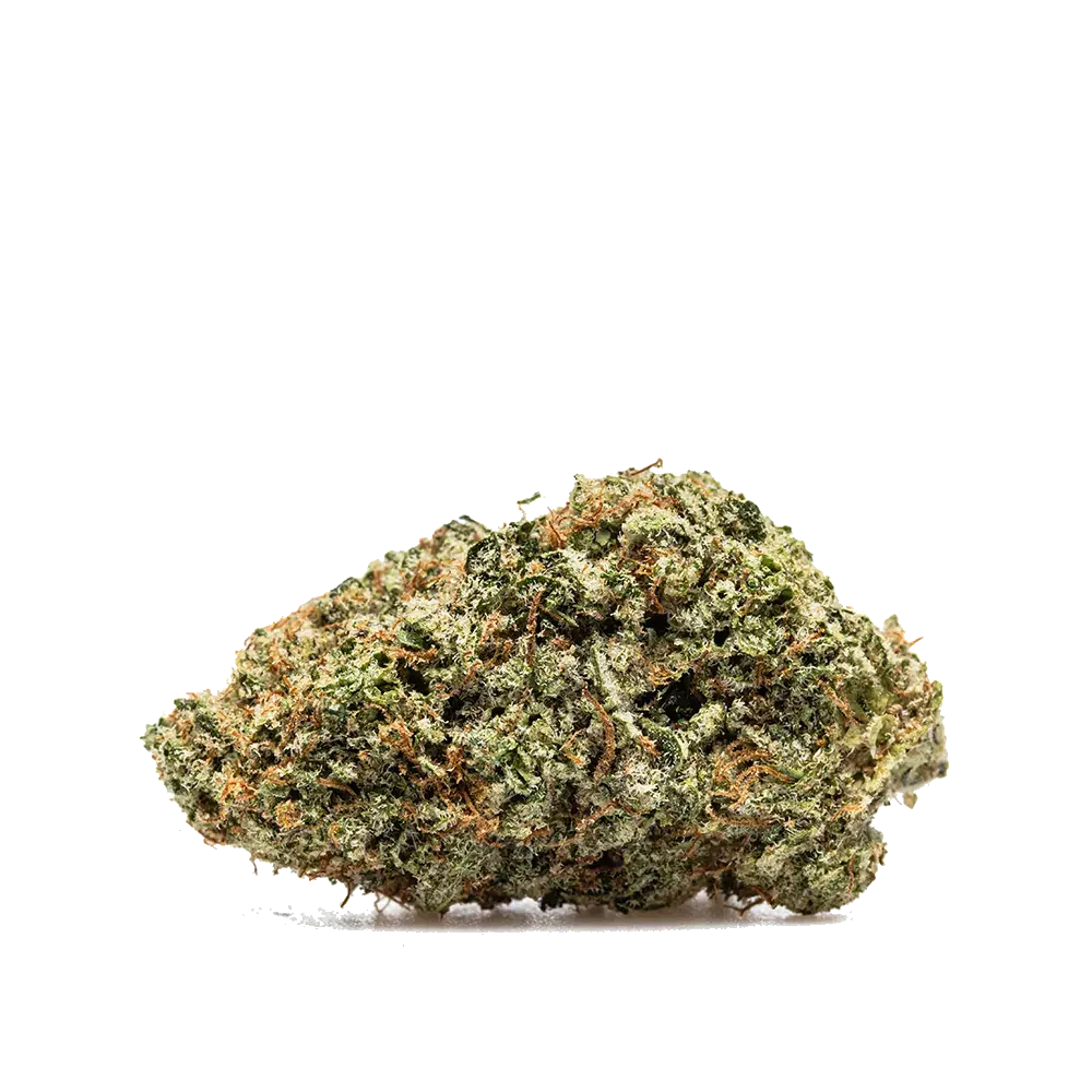 Super Boof, photo 2