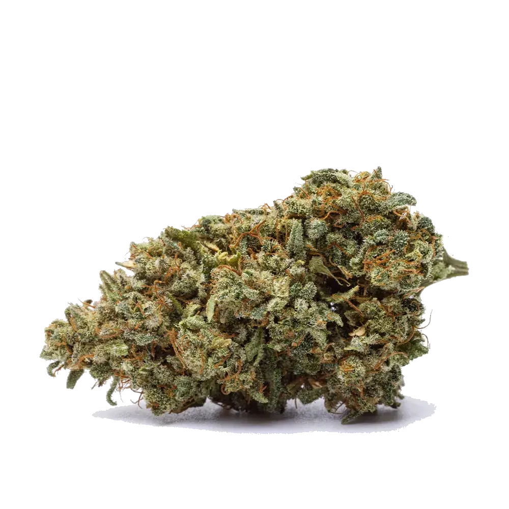 Kosher Kush, photo 2